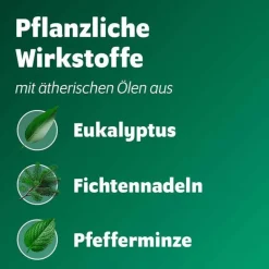 Bronchoforton® Salbe, 40 g