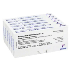 Bryophyllum D 5 / Conchae D 7 Ampullen, 48X1 ml