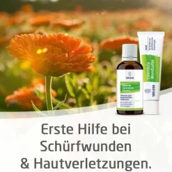 Weleda Calendula Wundsalbe bei Schürfwunden und Hautverletzungen, 70 g><noscript><img width=