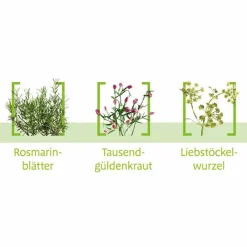 Canephron N Dragees, 60 St