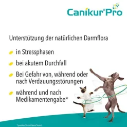 Canikur Pro vet. Paste, 60 ml