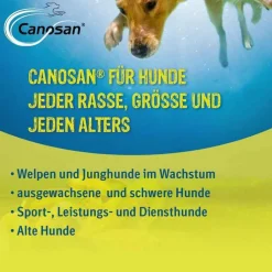 Canosan Kautabletten vet. (für Tiere), 30 St