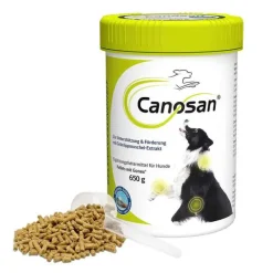 Canosan Konzentrat, 650 g> Bewegungsapparat