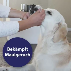 Canosept Zahnpflegespray für Hunde, 100 ml