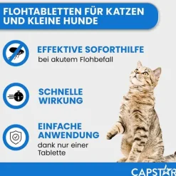 Capstar ™ 11,4 mg Tabletten für Katzen und kleine Hunde, 6 St><noscript><img width=