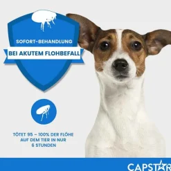 Capstar ™ 11,4 mg Tabletten für Katzen und kleine Hunde, 6 St><noscript><img width=