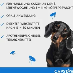 Capstar ™ 11,4 mg Tabletten für Katzen und kleine Hunde, 6 St><noscript><img width=