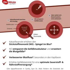 Cardio Care Dr. Wolz Kapseln, 60 St