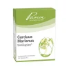 Similiaplex Carduus marianus Tabletten, 100 St> Pascoe