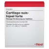 Injeel Cartilago suis forte Ampullen, 10 St> Heel