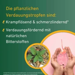 Carvomin Verdauungstropfen, 20 ml