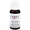 Ceres Urtica dioica Urtinktur, 20 ml> Alcea