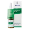 Chelidonium Rh D4 Augentropfen, 10 ml