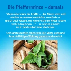 China Öl China Oel kutan Flüssigkeit zur Anwendung auf der Haut, 10 ml><noscript><img width=