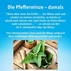 China Oel ohne Inhalator, 10 ml