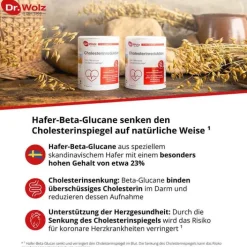 Dr. Wolz Cholesterinreduktion Pulver, 224 g><noscript><img width=