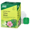 Salus Cistus Minze Kräutertee bio Filterbeutel, 15 St> Bio Tee