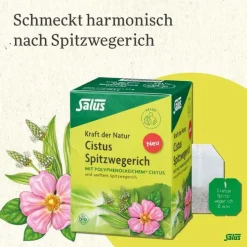 Salus Cistus Spitzwegerich Tee Bio Filterbeutel, 15 St><noscript><img width=
