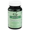 Green line Nutritheke Cranberry Kapseln, 60 St> Cranberry