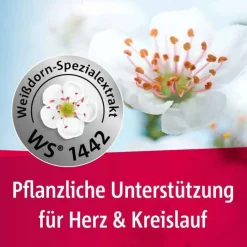 Crataegutt ® 450 mg Herz-Kreislauf-Tabletten, 100 St><noscript><img width=