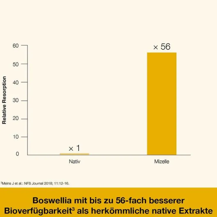 Curcumin-Loges plus Boswellia Kapseln, 120 St