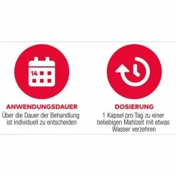 D3 + K2 Vit AL 1000 I.E. / 80 µg Kapseln, 90 St