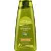 Dalan d`Olive Proteinshampoo Repair Pflege, 400 ml