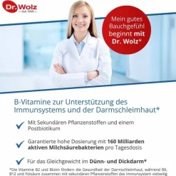 Dr. Wolz Darmflora plus select complex magensaftresistent Kapseln, 40 St><noscript><img width=