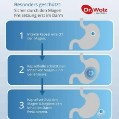 Dr. Wolz Darmflora plus select Kapseln, 40 St><noscript><img width=