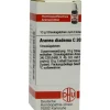 DHU Aranea diadema C 30 Globuli, 10 g> A