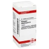DHU Bismutum Subnitricum D 6 Tabletten, 80 St> B