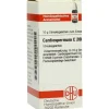 DHU Cardiospermum C 200 Globuli, 10 g