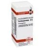 DHU Cardiospermum D 6 Globuli, 10 g> C|C