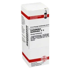 DHU Caulophyllum thalictroides D 6 Dilution, 20 ml> C