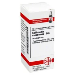 DHU Collinsonia canadensis D 6 G, 10 g