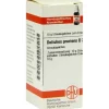 DHU Dolichos pruriens D 3 Globuli, 10 g> D|D