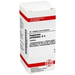 DHU Eupatorium perfoliatum D 6 Tabletten, 80 St