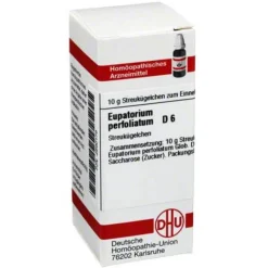 DHU Eupatorium perfoliatum D 6 G, 10 g