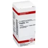 DHU Graphites D 4 Tabletten, 80 St