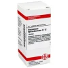DHU Histaminum hydrochloricum D 12 Tabletten, 80 St
