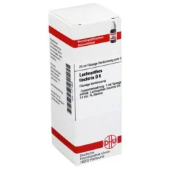 DHU Lachnanthes tinctoria D 6 Dilution, 20 ml> L