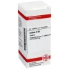 DHU Ledum C 30 Tabletten, 80 St