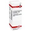 DHU Lycopodium D 30 Dilution, 20 ml