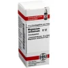 DHU Magnesium carbonicum D 12 Gl, 10 g> M|M