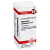 DHU Magnesium carbonicum C 12 Gl, 10 g