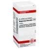 DHU Magnesium fluoratum D 6 Tabletten, 80 St> M