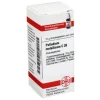 DHU Palladium metallicum C 30 Gl, 10 g> P|P