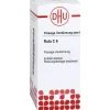 DHU Ruta C 6 Dilution, 20 ml> Q-R