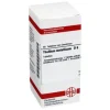DHU Thallium metallicum D 6 Tabletten, 80 St> T