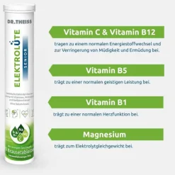 Dr. Theiss Elektrolüte Senior Brausetabletten, 20 St